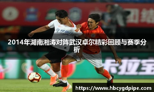 2014年湖南湘涛对阵武汉卓尔精彩回顾与赛季分析
